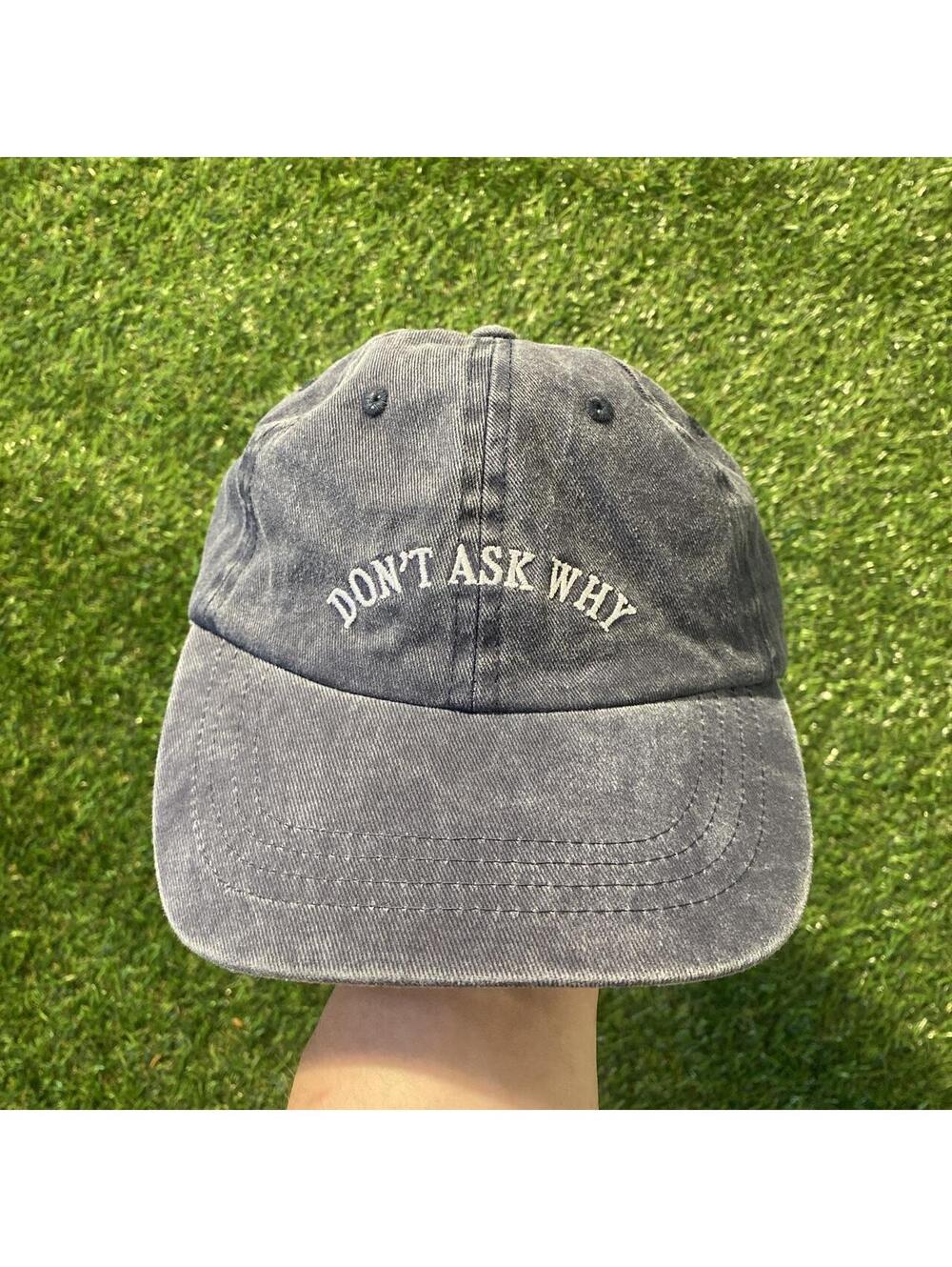 Vintage Y2K Gray and white "Don't Ask Why" dad hat